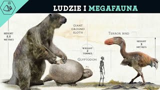 MEGAFAUNA DLACZEGO WYGINĘŁA [upl. by Saltzman544]