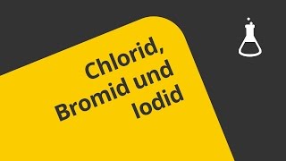 Chlorid Bromid und Iodid nachweisen  Chemie  Analytische Chemie [upl. by Ammann741]