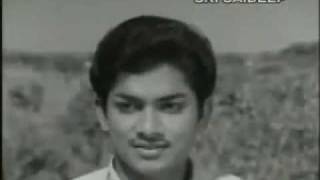 E Divilo Virisina Telugu Movie Kanne Vayasu1973 Full HD Video Song  YouTubemp4 [upl. by Analle490]