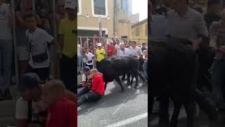 Feria des vendanges 🍇 2023  Abrivado à Nîmes 🇫🇷 le 17092023 [upl. by Arim940]