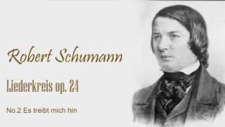 Schumann  Liederkreis op24  no2wmv [upl. by Born]