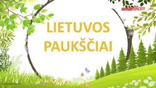 ✅ Lietuvos paukščiai  SmartkinderTV  Filmukai vaikams lietuviškai [upl. by Annah]