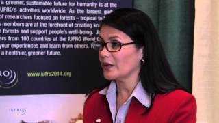 Interview with Dr Sandra Rodriguez Pineros IUFRO Outstanding Doctoral Research Award winner [upl. by Okoyik84]