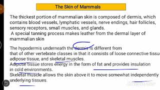 Skin Of Mammals Support and movement in VertebratesChapter 24 [upl. by Dlonyer]