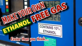 Making your own ETHANOL FREE Gasoline its easier than you think [upl. by Ydarg]