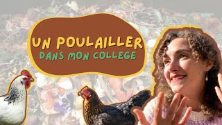 Un poulailler dans un collège pour réduire le gaspillage alimentaire [upl. by Dunstan]