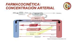 Anestésicos inhalatorios [upl. by Renelle]