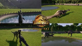 Best Jwe2 Animations [upl. by Searcy350]