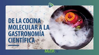 De la cocina molecular a la gastronomía científica  Seminarios MITA 009 [upl. by Anoy]