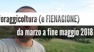 Foraggicoltura 2018 da marzo a fine maggio [upl. by Ahsehat]