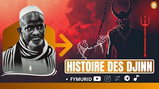 Histoire Des Djinns  Par Serigne Bassirou Mbacke Khelcom [upl. by Sands]