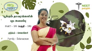 Morphology of Flowering plants  Part 16  Family  Solanaceae  NEET Tamil  NEET Biology [upl. by Ranice]