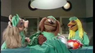 The Muppet Show Veterinarians Hospital  Chicken [upl. by Shelton375]