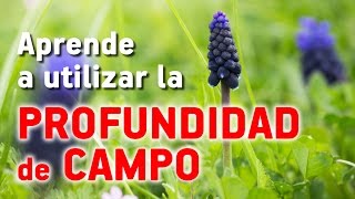 Aprende a utilizar la PROFUNDIDAD DE CAMPO [upl. by Carson685]