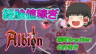 【アルビオンオンライン】初心者経験値稼ぎ講座！霧町への行き方も！？【ゆっくり実況】 [upl. by Slin]