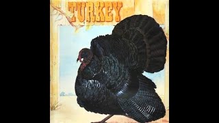 Wild Turkey  Good Old Days [upl. by Meng631]