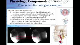 Overview of the 17 Physiologic Components of Swallow Function [upl. by Fanning483]