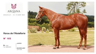 Arqana 202208  Lot N° 105  F  Justify x Ravens Lady présentée  le Haras de LHotellerie [upl. by Einahteb]