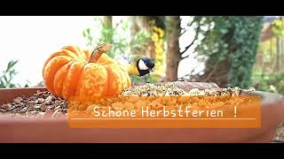 Schöne Herbstferien [upl. by Alfreda879]