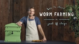 How to start a worm farm in 4 steps vermiculture made easy [upl. by Neo348]