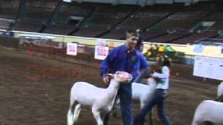 OYE Sheep Showmanship 2011 [upl. by Alphonsa]