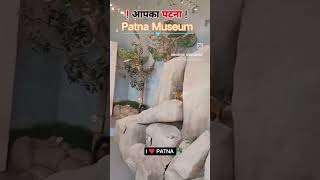 Patna Mai Aisi Ghumney Wali Jagah Bhi Hai [upl. by Leik]