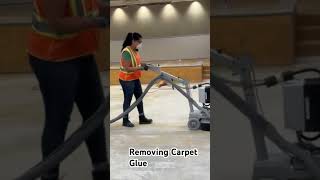 How to Remove Carpet Glue Quickly on a Concrete Floor shortsvideo short concrete concretefloor [upl. by Pryce]