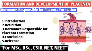 Formation and development of placenta  Hormones Responsible for Placenta Formation [upl. by Akoyn]