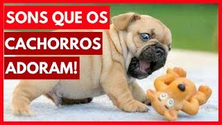 SONS que os cachorros ADORAM ouvir Assista com seu cão [upl. by Bosson]