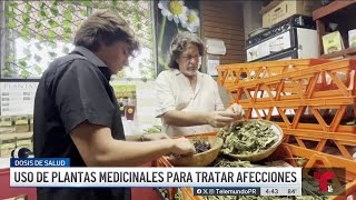 Beneficios de las plantas para tratar enfermedades [upl. by Joni]