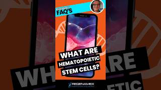 What Are Hematopoietic Stem Cells 🧬 Explained in Under 1 Minute ⏱️ [upl. by Htebsil61]