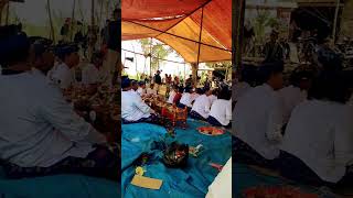 Gendang Blek Prapen shortvideo musiktradisional lombok gendangbeleqliveharini [upl. by Stuckey]