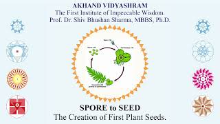 THE CREATION OF PLANT SEEDS FROM PLANT SPORES  From Asexual to Sexual Creation of Plant Kingdom [upl. by Klepac]