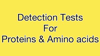 Ninhydrin test  Biuret Test  Xanthoproteic Test  Millons Test  Hopkins Cole Test for Proteins [upl. by Mohr641]