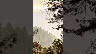 relaxing soothing nathiagali islamabad rain hills trailwalk trail pakistan beautifulnature [upl. by Eaves453]