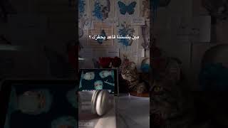 ليش ماعندك حافز؟ تحفيزدراسي اكسبلور سادسيون [upl. by Barron327]