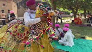 Cultural events at Abhaneri Festival 2024 in Rajasthan [upl. by Ivers93]