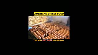 Chicagos Best Hot Dogs American Street Food [upl. by Benoite739]