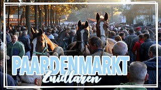 Met lege handen naar huis  Ruzie op de paardenmarkt [upl. by Delfeena]