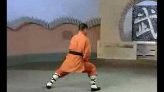 Shaolin Tai Zu Chang Quan 少林太祖長拳 Yi Lu [upl. by Llenrrad]