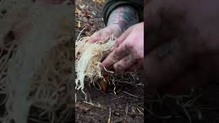 Bushcraft Basics Learn Fire Drilling bwonlineshop outdoor camping firemaking bushcraft [upl. by Hseham]