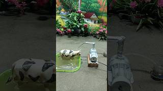 mini motor water pump project mini cow bathed video 102 [upl. by Oulman438]