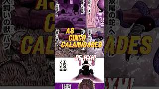 As 5 Calamidades do Continente Sombrio hunterxhunter anime shorts [upl. by Egnalos]