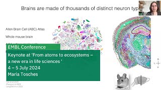 Brain evolution reconstructing the origins of the cerebral cortex [upl. by Arnoldo]