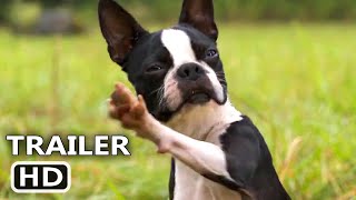 STRAYS Trailer 2023 Isla Fisher Will Ferrell Jamie Foxx Comedy Movie [upl. by Artima]