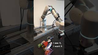 Just another day picking up things  Rizon robot Flexiv robotics asmr shorts [upl. by Seagraves508]