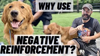 WHY Train With NEGATIVE REINFORCEMENT SIMPLE Breakdown amp Demo [upl. by Licko]