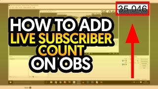 How To Add Live Subscriber Count on OBS [upl. by Roosnam]