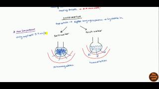 Drowning Pathophysiology and Management for USMLE [upl. by Suhsoj275]