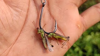 ഇങ്ങനെ ചെയ്താൽ മീൻ ഉറപ്പാണ്💯 Handline Fishing Videos  Traditional Fishing Videos  Fishing Videos [upl. by Lonny]